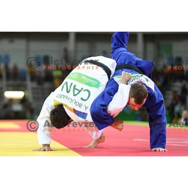 Adrian Gomboc (SLO) fights with Bouchard (CAN) in quarter-final of Judo Men\'s -66 kg category at Rio de Janeiro 2016 Olympic games , Brasil on August 7, 2016