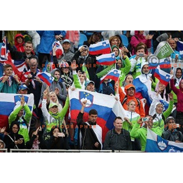 Slovenian fans at Men\'s Kayak slalom at Rio de Janeiro 2016 Olympic games , Brasil on August 10, 2016