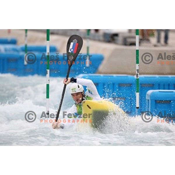 Peter Kauzer (SLO) winner of Silver Olympic medal in Men\'s Kayak slalom at Rio de Janeiro 2016 Olympic games , Brasil on August 10, 2016