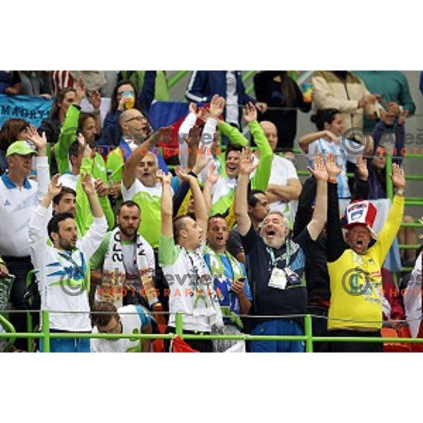 Fans of Slovenia in action during Olympic handball tournament match between Slovenia and Sweden in Barra Olympic Park at Rio de Janeiro 2016 Olympic games , Brazil on August 11 , 2016