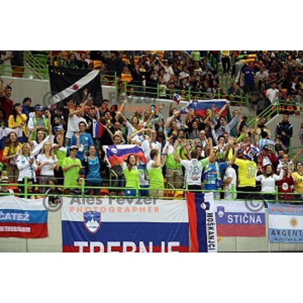 of Slovenia in action during Olympic handball tournament match between Slovenia and Sweden in Barra Olympic Park at Rio de Janeiro 2016 Olympic games , Brasil on August 12 , 2016