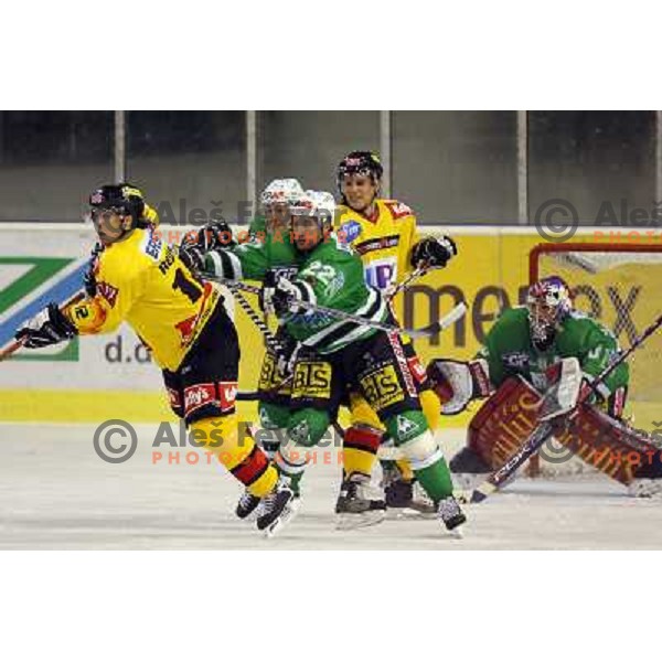 Brothers Rodman at match ZM Olimpija- Vienna Capitals in 4th round of EBEL league played in Ljubljana, Slovenia on 30.9.2007. ZM Olimpija won after penalty shot-out 4:3. Photo by Ales Fevzer 