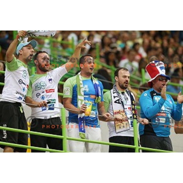 Fans of Slovenia in action during Olympic handball tournament match between Slovenia and Poland in Barra Olympic Park at Rio de Janeiro 2016 Olympic games , Brazil on August 15 , 2016