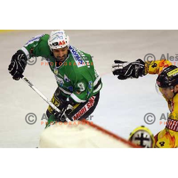 Intranuovo at match ZM Olimpija- Vienna Capitals in 4th round of EBEL league played in Ljubljana, Slovenia on 30.9.2007. ZM Olimpija won after penalty shot-out 4:3. Photo by Ales Fevzer 