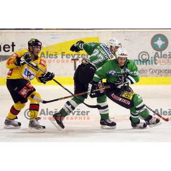 Mccarthy and Vnuk at match ZM Olimpija- Vienna Capitals in 4th round of EBEL league played in Ljubljana, Slovenia on 30.9.2007. ZM Olimpija won after penalty shot-out 4:3. Photo by Ales Fevzer 