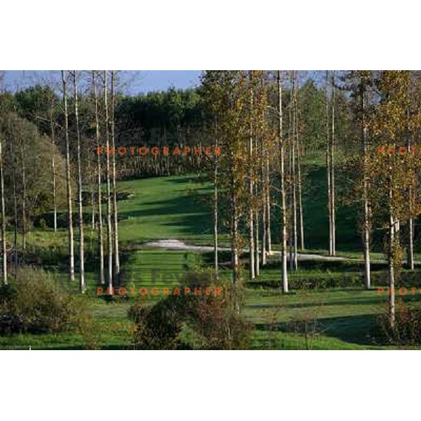 Tee box of 3rd hole at Trnovo golf course in Ljubljana 30.9.2007. Photo by Ales Fevzer 