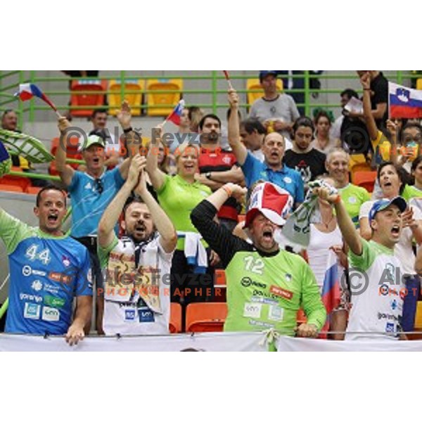 Fans of Slovenia in action during quarter-final of Olympic handball tournament match between Slovenia and Denmark in Barra Olympic Park at Rio de Janeiro 2016 Olympic games , Brazil on August 17 , 2016