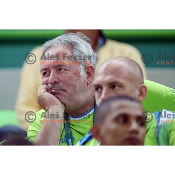 Brane Dmitrovic during quarter-final of Olympic handball tournament match between Slovenia and Denmark in Barra Olympic Park at Rio de Janeiro 2016 Olympic games , Brazil on August 17 , 2016