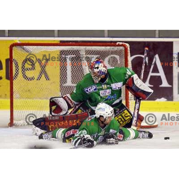 Westlund and Mitchell at match ZM Olimpija- Vienna Capitals in 4th round of EBEL league played in Ljubljana, Slovenia on 30.9.2007. ZM Olimpija won after penalty shot-out 4:3. Photo by Ales Fevzer 