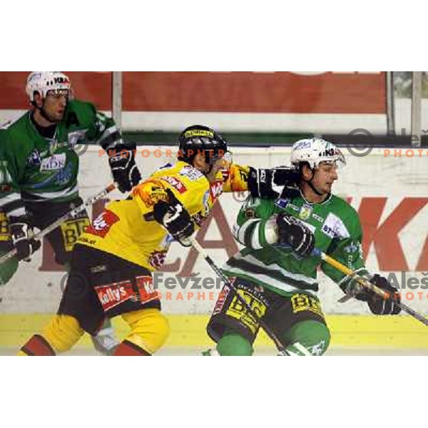 Yarema at match ZM Olimpija- Vienna Capitals in 4th round of EBEL league played in Ljubljana, Slovenia on 30.9.2007. ZM Olimpija won after penalty shot-out 4:3. Photo by Ales Fevzer 