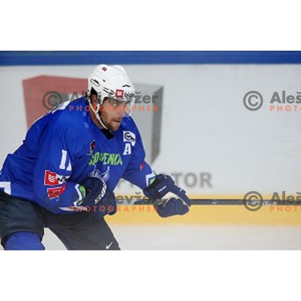 Anze Kopitar of Slovenia in action during friendly ice-hockey match between Slovenia and Italy in Bled Ice hall, Slovenia on August 29, 2016