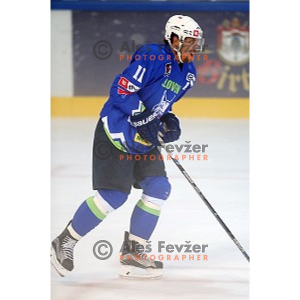 Anze Kopitar of Slovenia in action during friendly ice-hockey match between Slovenia and Italy in Bled Ice hall, Slovenia on August 29, 2016