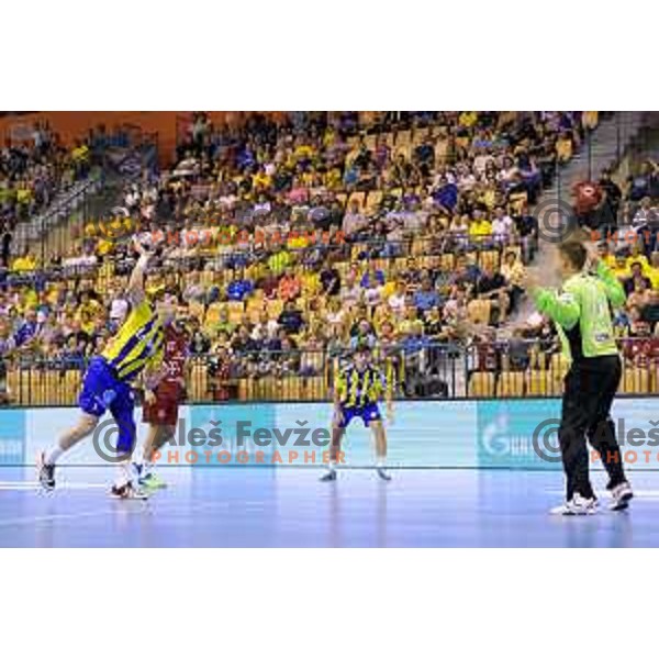 in action during handball match of SEHA Gazprom League between Ceelje Pivovarna Lasko and Veszprem, Arena Zlatorog, Celje, September 3rd, 2016.