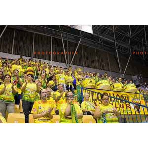 in action during handball match of SEHA Gazprom League between Ceelje Pivovarna Lasko and Veszprem, Arena Zlatorog, Celje, September 3rd, 2016.