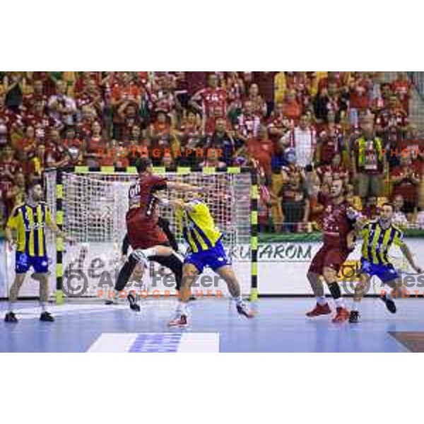 in action during handball match of SEHA Gazprom League between Ceelje Pivovarna Lasko and Veszprem, Arena Zlatorog, Celje, September 3rd, 2016.