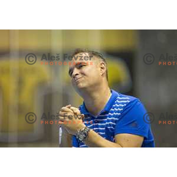 Celje’s head coach Branko Tamse in action during the handball match of SEHA League between Gorenje Velenje and Celje pivovarna Lasko in Red Hall, Velenje, September 7, 2016