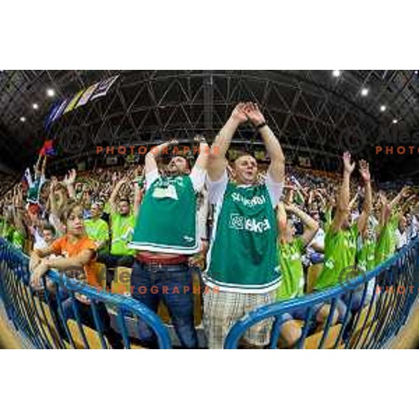 Fans of team Slovenia during basketball match between Slovenia and Ukraine, 3rd match in group E qualifications for Eurobasket 2017, played in Zlatorog Arena, Celje, Slovenia on September 7, 2016