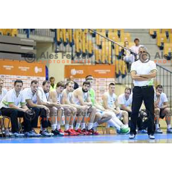 Igor Kokoskov, head coach of team Slovenia in action during basketball match between Slovenia and Ukraine, 3rd match in group E qualifications for Eurobasket 2017, played in Zlatorog Arena, Celje, Slovenia on September 7, 2016