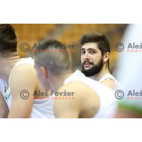 of team Slovenia in action during basketball match between Slovenia and Ukraine, 3rd match in group E qualifications for Eurobasket 2017, played in Zlatorog Arena, Celje, Slovenia on September 7, 2016