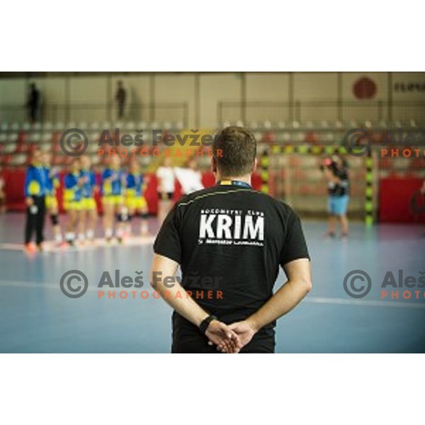 Uros Bregar in action during Handball match Krim - Ioventa Mihalovce, EHF Champions league qualifying, Kodeljevo, Ljubljana, Slovenia, 10.09.2016