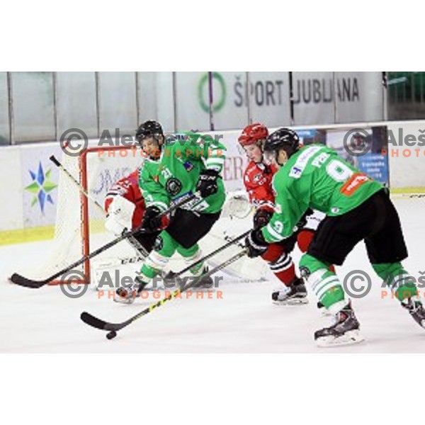 action during ice-hockey match Olimpija Ljubljana - SIJ Acroni Jesenice in Tivoli Hall, Ljubljana, Slovenia on September 13, 2016