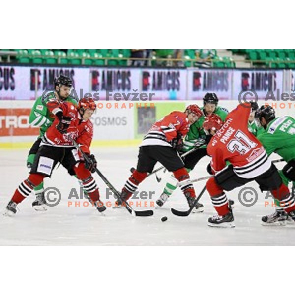 action during ice-hockey match Olimpija Ljubljana - SIJ Acroni Jesenice in Tivoli Hall, Ljubljana, Slovenia on September 13, 2016