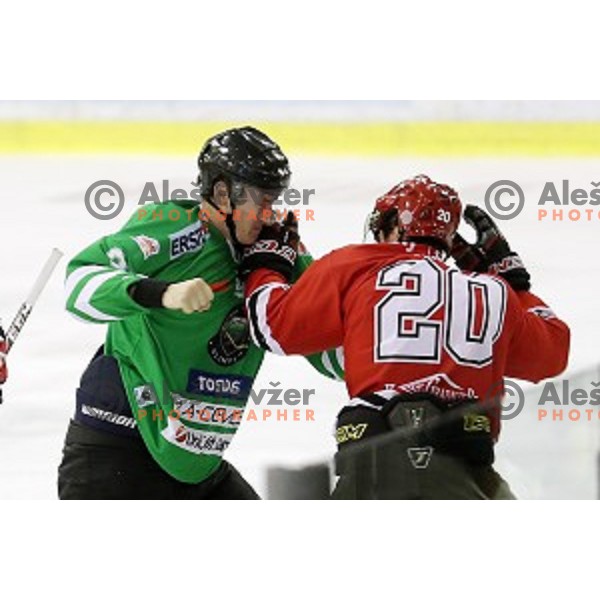 Adis Alagic of Olimpija Ljubljana and Marko Tarman of SIJ Acroni Jesenice fight during ice-hockey match Olimpija Ljubljana - SIJ Acroni Jesenice in Tivoli Hall, Ljubljana, Slovenia on September 13, 2016