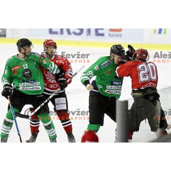 Adis Alagic of Olimpija Ljubljana and Marko Tarman of SIJ Acroni Jesenice fight during ice-hockey match Olimpija Ljubljana - SIJ Acroni Jesenice in Tivoli Hall, Ljubljana, Slovenia on September 13, 2016