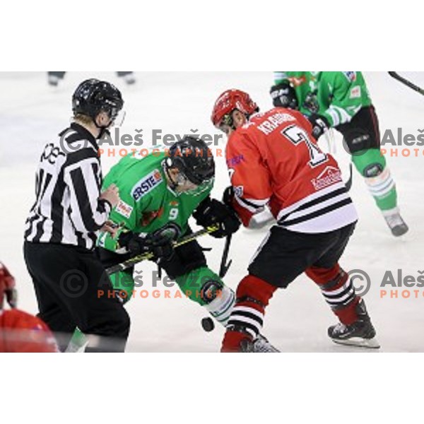action during ice-hockey match Olimpija Ljubljana - SIJ Acroni Jesenice in Tivoli Hall, Ljubljana, Slovenia on September 13, 2016