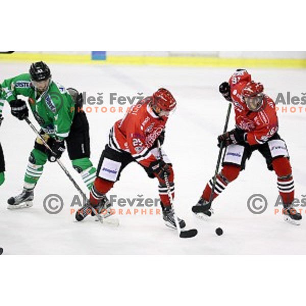 action during ice-hockey match Olimpija Ljubljana - SIJ Acroni Jesenice in Tivoli Hall, Ljubljana, Slovenia on September 13, 2016