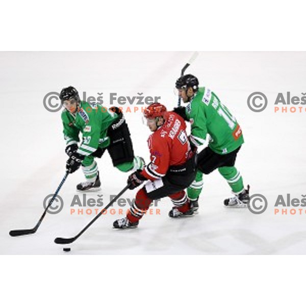 action during ice-hockey match Olimpija Ljubljana - SIJ Acroni Jesenice in Tivoli Hall, Ljubljana, Slovenia on September 13, 2016