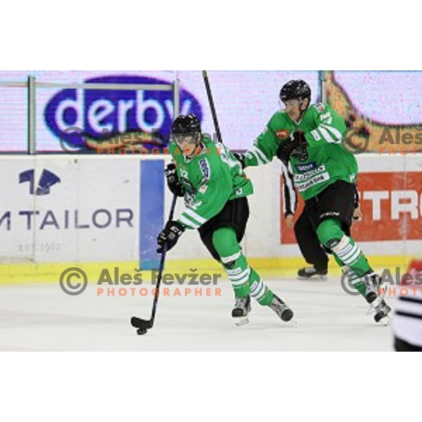 Gilbert gabor in action during ice-hockey match Olimpija Ljubljana - SIJ Acroni Jesenice in Tivoli Hall, Ljubljana, Slovenia on September 13, 2016