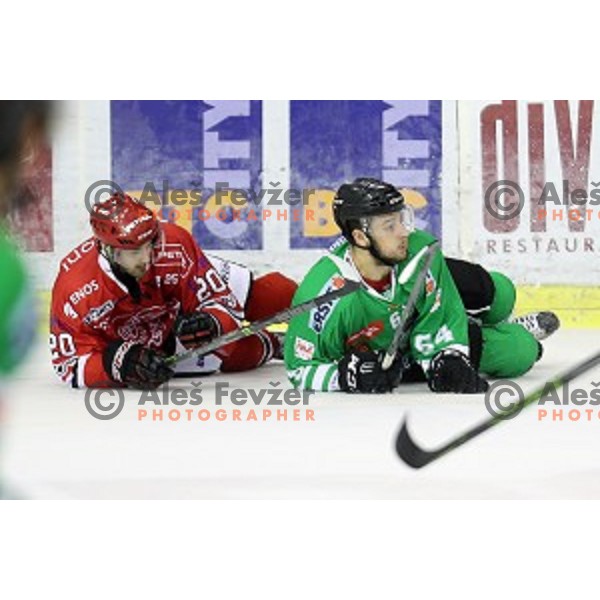 Marko Tarman and Raphael Bussieres in action during ice-hockey match Olimpija Ljubljana - SIJ Acroni Jesenice in Tivoli Hall, Ljubljana, Slovenia on September 13, 2016