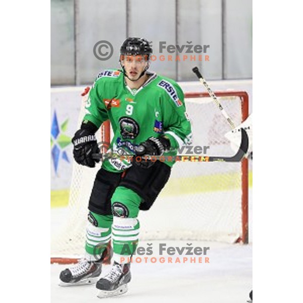Nik Pem in action during ice-hockey match Olimpija Ljubljana - SIJ Acroni Jesenice in Tivoli Hall, Ljubljana, Slovenia on September 13, 2016