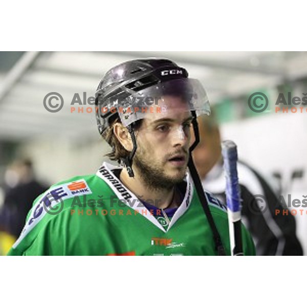 action during ice-hockey match Olimpija Ljubljana - SIJ Acroni Jesenice in Tivoli Hall, Ljubljana, Slovenia on September 13, 2016