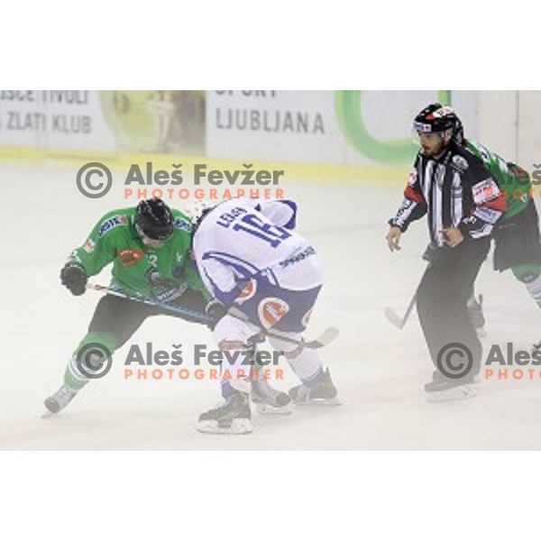 of Olimpija Ljubljana in action during ice-hockey match between Olimpija Ljubljana and VSV in EBEL league 2016/2017 in Tivoli Hall, Ljubljana, Slovenia on September 16, 2016