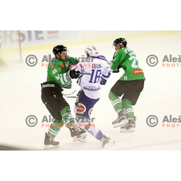 of Olimpija Ljubljana in action during ice-hockey match between Olimpija Ljubljana and VSV in EBEL league 2016/2017 in Tivoli Hall, Ljubljana, Slovenia on September 16, 2016