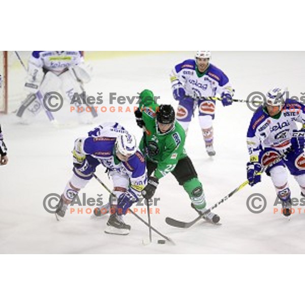 Sebastjan Hadzic of Olimpija Ljubljana in action during ice-hockey match between Olimpija Ljubljana and VSV in EBEL league 2016/2017 in Tivoli Hall, Ljubljana, Slovenia on September 16, 2016