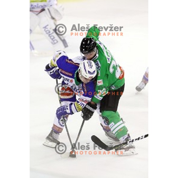 Sebastjan Hadzic of Olimpija Ljubljana in action during ice-hockey match between Olimpija Ljubljana and VSV in EBEL league 2016/2017 in Tivoli Hall, Ljubljana, Slovenia on September 16, 2016