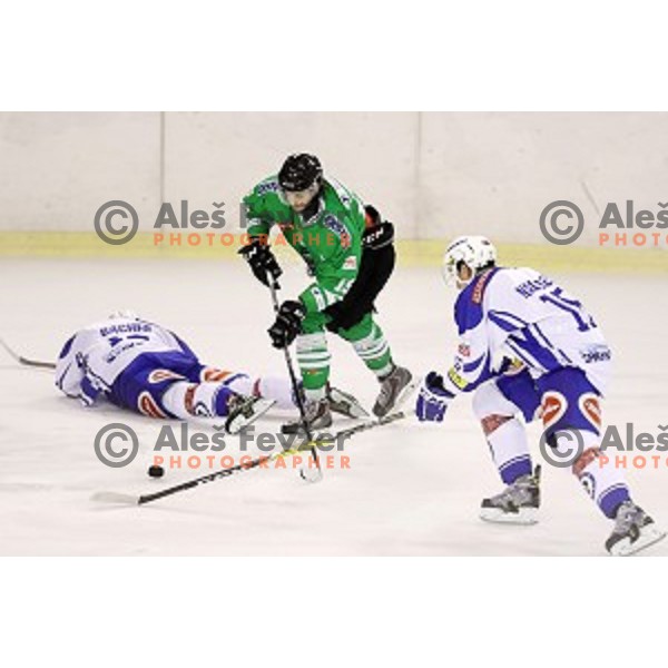 Gal Koren of Olimpija Ljubljana in action during ice-hockey match between Olimpija Ljubljana and VSV in EBEL league 2016/2017 in Tivoli Hall, Ljubljana, Slovenia on September 16, 2016