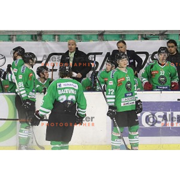 of Olimpija Ljubljana in action during ice-hockey match between Olimpija Ljubljana and VSV in EBEL league 2016/2017 in Tivoli Hall, Ljubljana, Slovenia on September 16, 2016