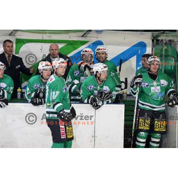 Olimpija players and coaches Zajc and Rahmatulin at match ZM Olimpija-Graz 99er in Ebel league,played in Ljubljana,Slovenia 9.10.2007. Photo by Ales Fevzer 