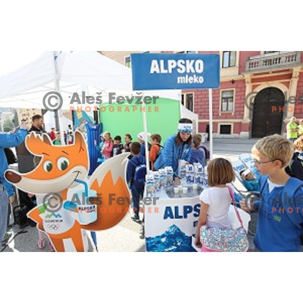 Olympic festival for kids on Congress Square, Ljubljana, Slovenia on September 23, 2016