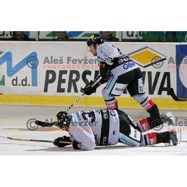 Ivo Jan at ground at match ZM Olimpija-Graz 99er in Ebel league,played in Ljubljana,Slovenia 9.10.2007. Photo by Ales Fevzer 