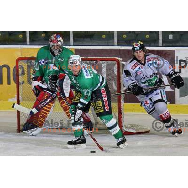 McCarthy at match ZM Olimpija-Graz 99ers in Ebel league,played in Ljubljana,Slovenia 9.10.2007. Graz 99ers won the match 3:1.Photo by Ales Fevzer 