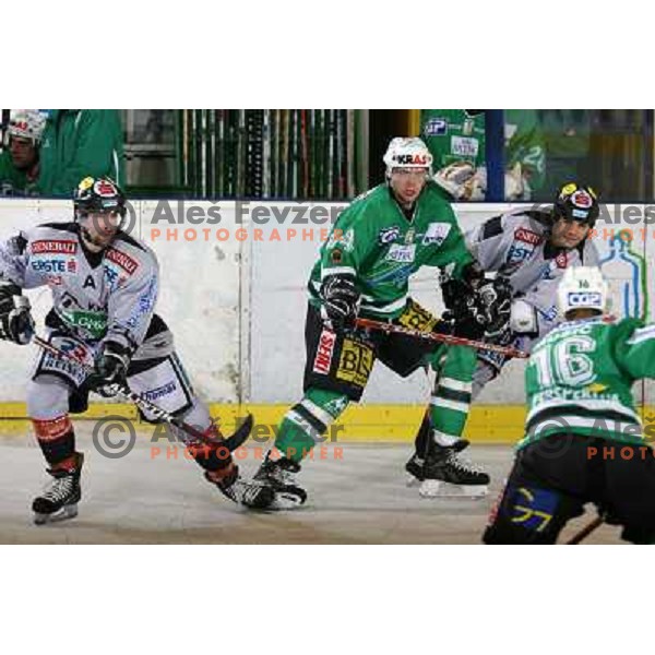 Tavzelj (44) at match ZM Olimpija-Graz 99ers in Ebel league,played in Ljubljana,Slovenia 9.10.2007. Graz 99ers won the match 3:1.Photo by Ales Fevzer 