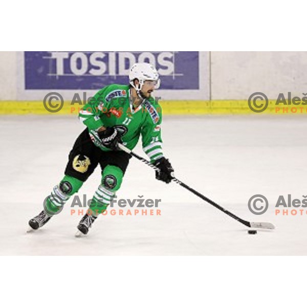 of Olimpija Ljubljana in action during ice-hockey match between Olimpija Ljubljana and Innsbruck in EBEL league 2016/2017 in Tivoli Hall, Ljubljana, Slovenia on September 25, 2016