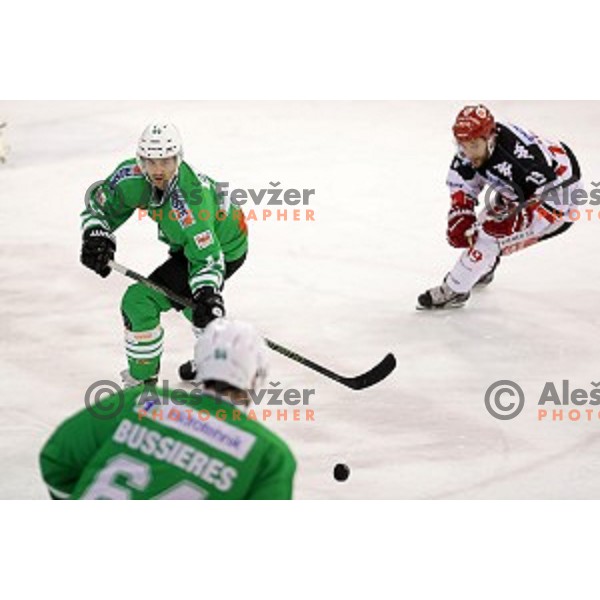 of Olimpija Ljubljana in action during ice-hockey match between Olimpija Ljubljana and Innsbruck in EBEL league 2016/2017 in Tivoli Hall, Ljubljana, Slovenia on September 25, 2016