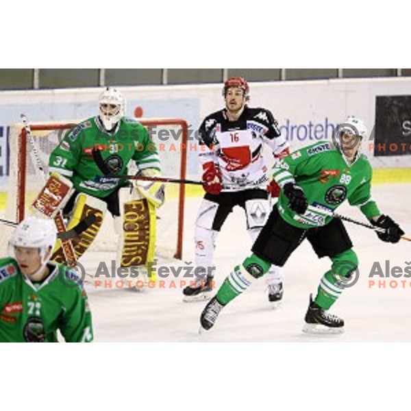 of Olimpija Ljubljana in action during ice-hockey match between Olimpija Ljubljana and Innsbruck in EBEL league 2016/2017 in Tivoli Hall, Ljubljana, Slovenia on September 25, 2016