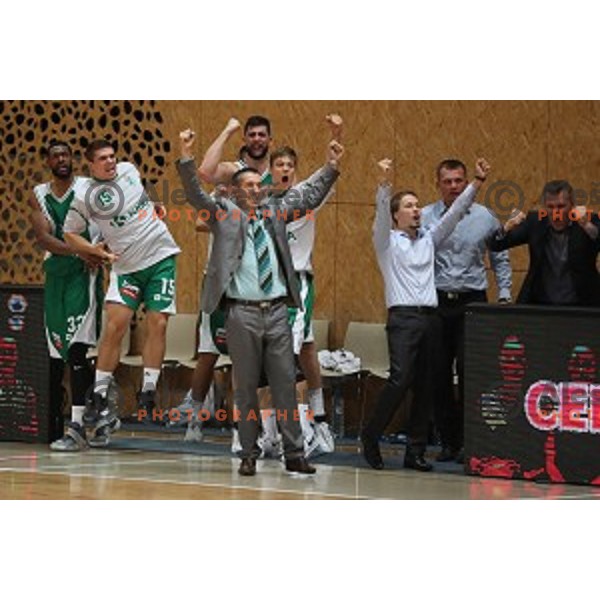Dejan Mihevc, head coach of Krka in action during Slovenian SuperCup between Krka and Helios Suns in Podcetrtek on September 28, 2016